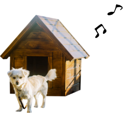 犬と犬小屋